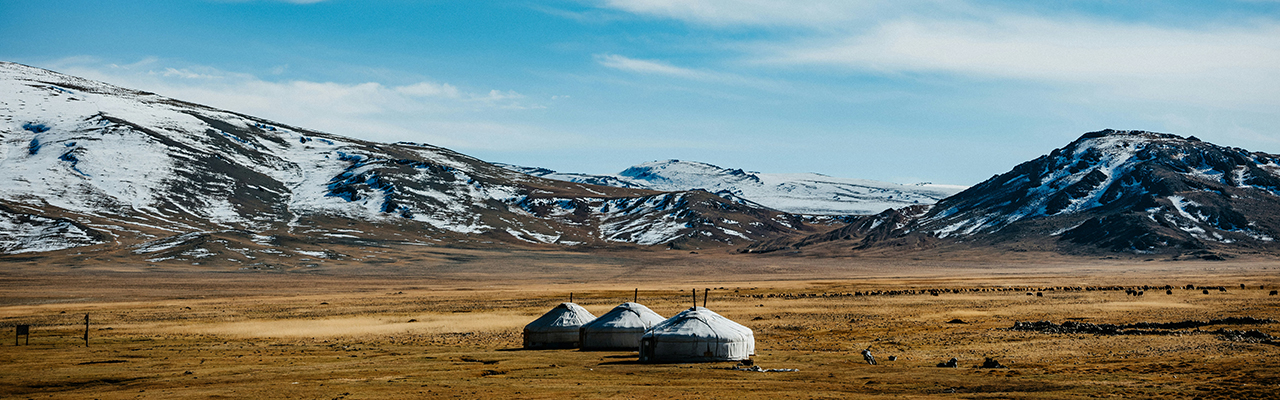 Cold Mongolia